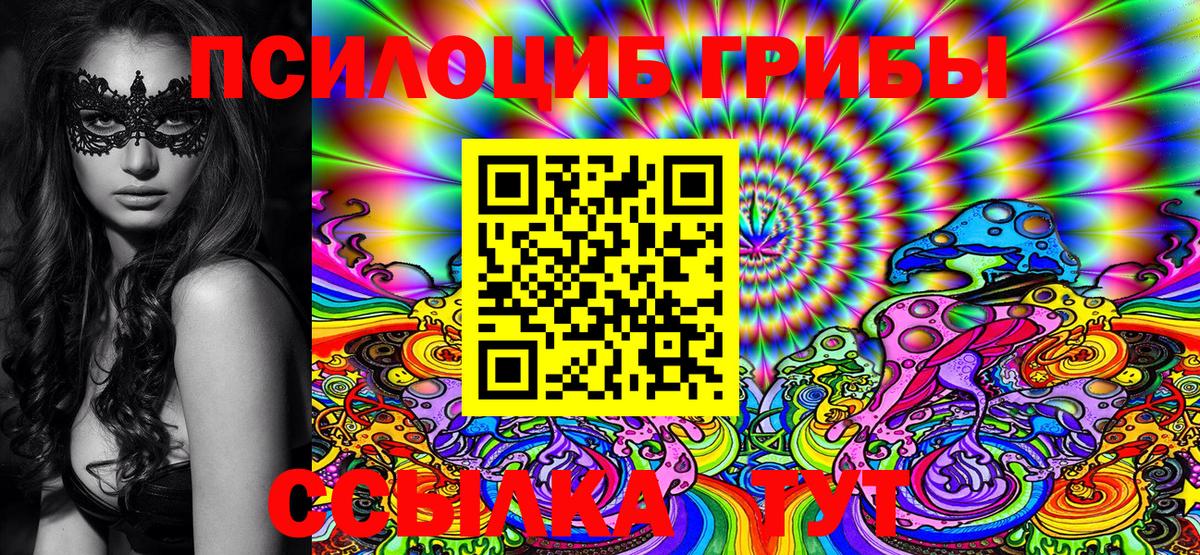 Псилоцибиновые грибы Psilocybine cubensis Чехов