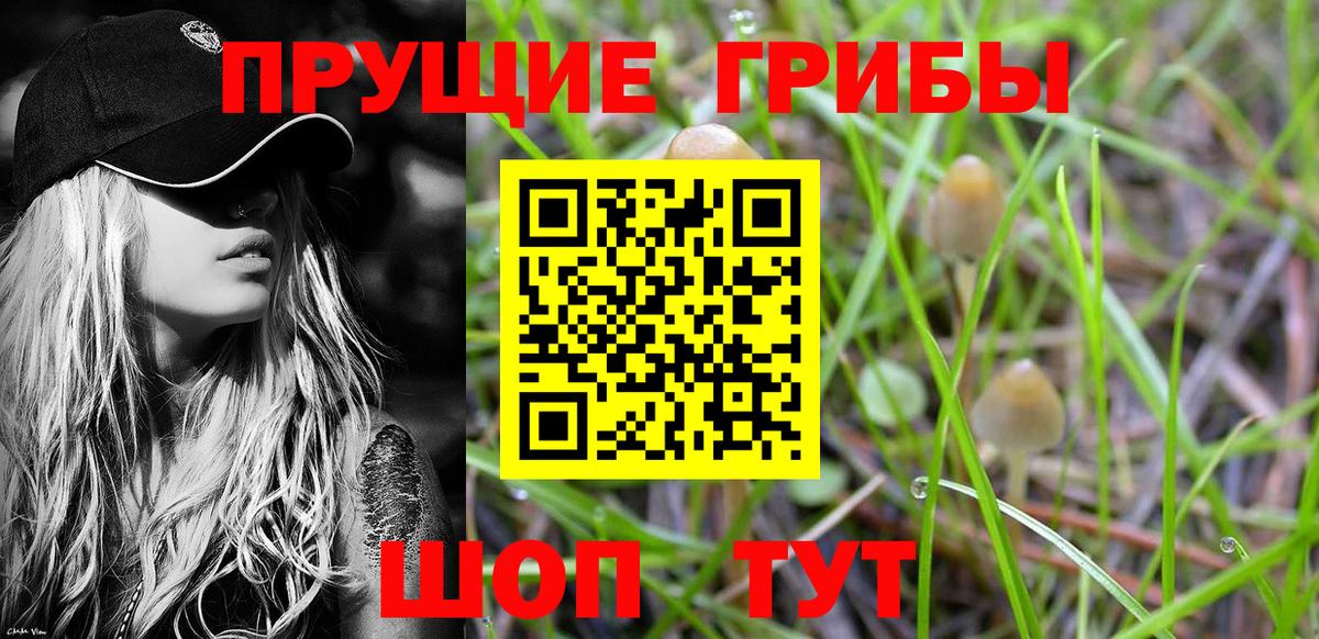 Галлюциногенные грибы Cubensis  Вход с VPN  даркнет сайт  Чехов 